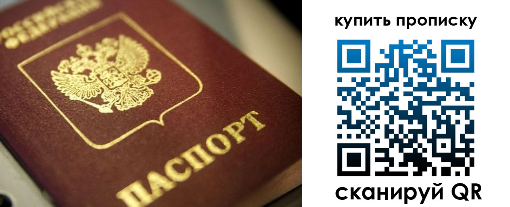прописка поиск в Зуевке